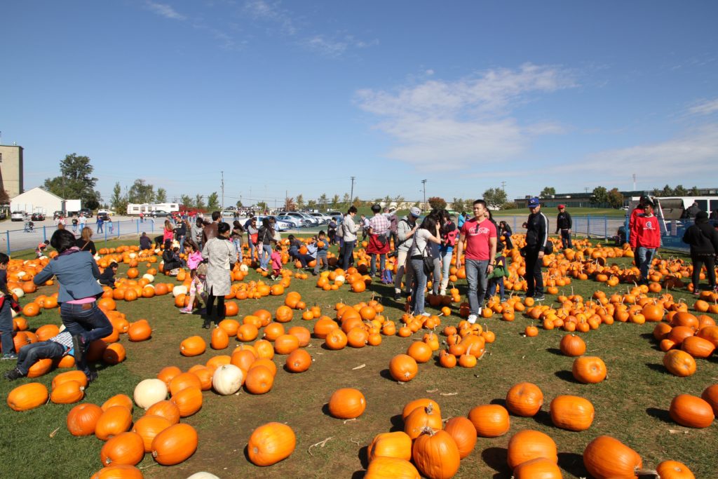 Pumpkin Patch Richmond Hill Pumpkinfest